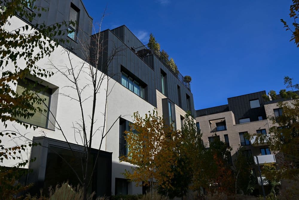 NBI for Avalon - image 28