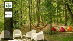 ForestJOY by TreeHouse - image 16