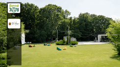 ForestJOY by TreeHouse - image 9