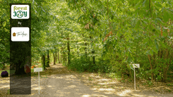 ForestJOY by TreeHouse - image 20