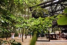 TreeHouse - image 4