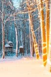 TreeHouse - image 55
