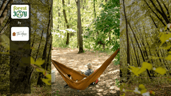 ForestJOY by TreeHouse - image 17