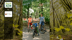 ForestJOY by TreeHouse - image 15