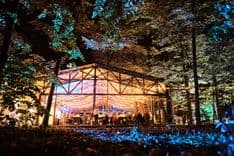 TreeHouse - image 39