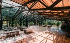 TreeHouse II - immagine 8