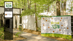 ForestJOY by TreeHouse - image 10