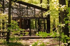 TreeHouse - image 23
