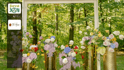 ForestJOY by TreeHouse - image 21