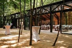 TreeHouse - image 11